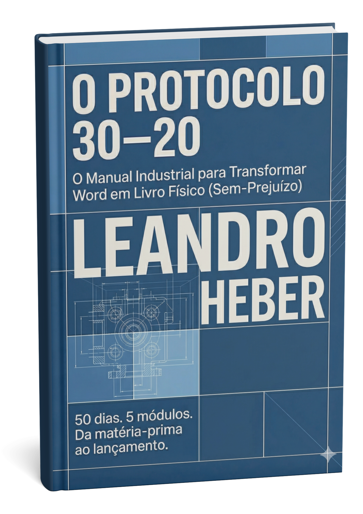 O Protocolo 30/20 — Ebook
